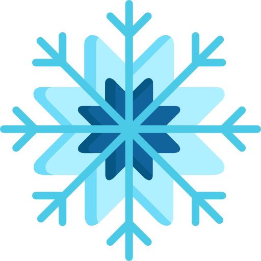 sneeuwvlok Special Flat icoon