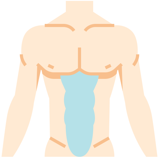 abdominal Generic Flat icono
