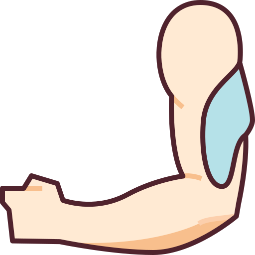 Triceps Generic Outline Color icon