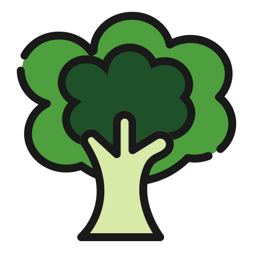 baum Generic Outline Color icon