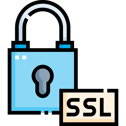 ssl Detailed Straight Lineal color Ícone