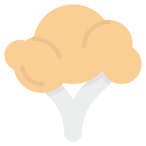 coliflor Generic Flat icono