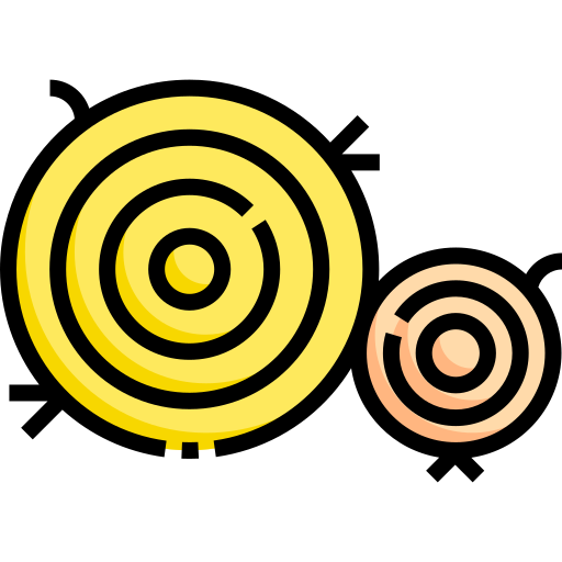 bela siana Detailed Straight Lineal color ikona
