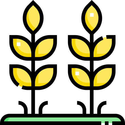 小麦 Detailed Straight Lineal color icon