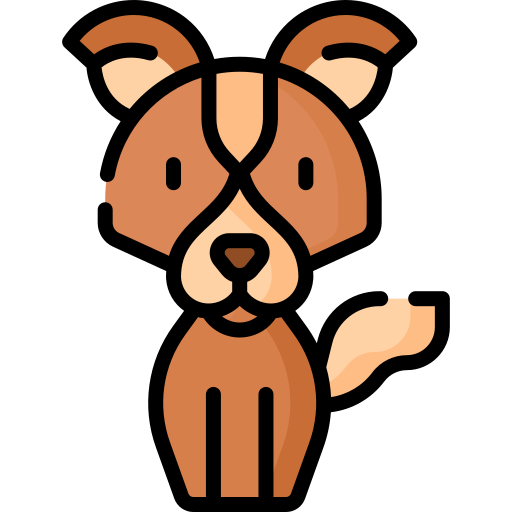 Dog Special Lineal color icon