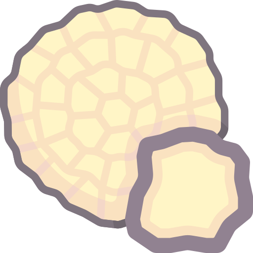 Truffle Special Flat icon