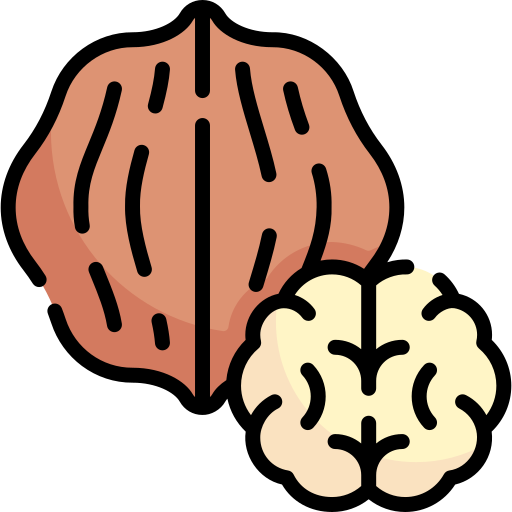 nussbaum Special Lineal color icon