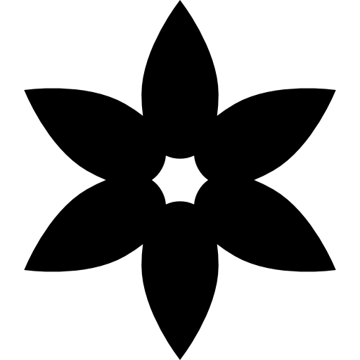 Flower with elongated petals  icon