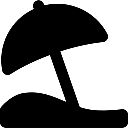 Beach umbrella  icon