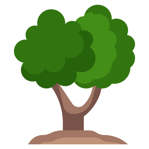 Tree Surang Flat icon