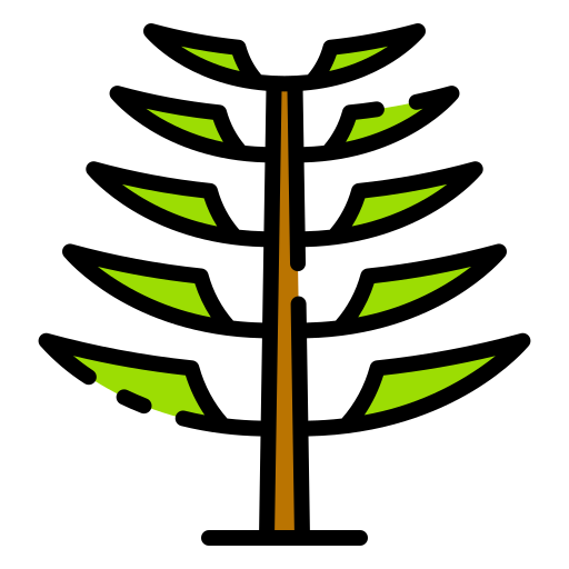 Araucaria tree Good Ware Lineal icon