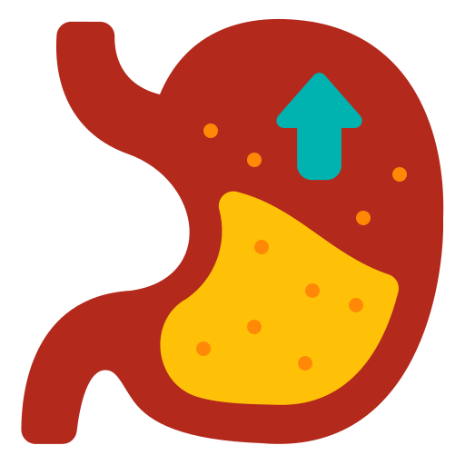 胃 Generic Flat icon
