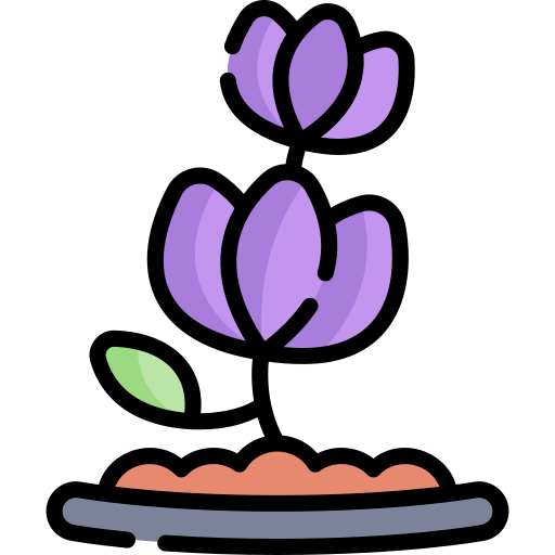 Lavender Kawaii Lineal color icon