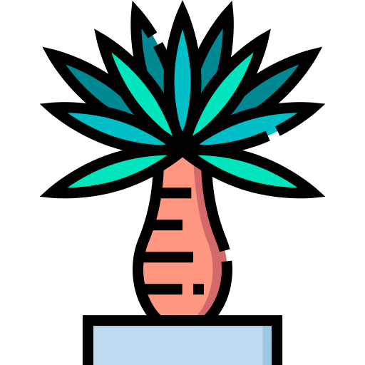 yucca Detailed Straight Lineal color icon