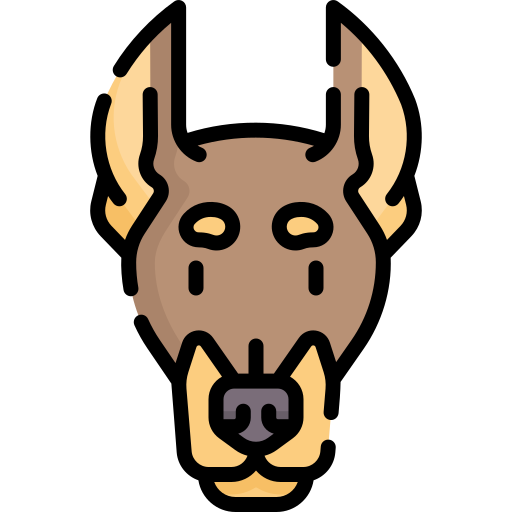 dobermann Special Lineal color icon
