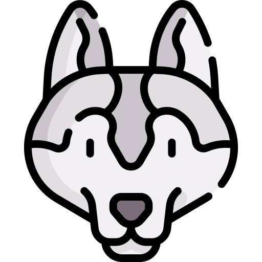 sibirischer husky Special Lineal color icon