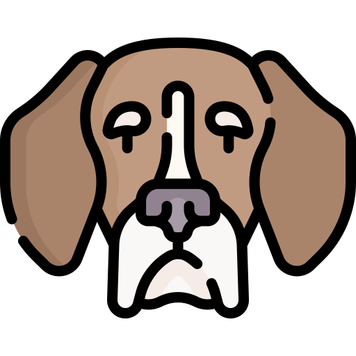 beagle Special Lineal color Ícone