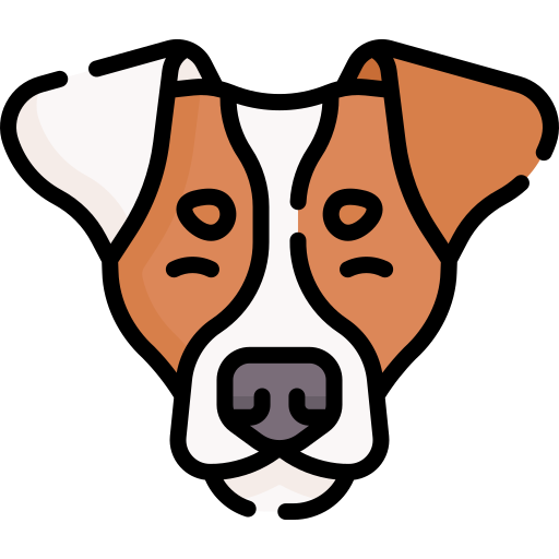 jack russell terrier Special Lineal color icon