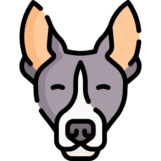basenji Special Lineal color icon