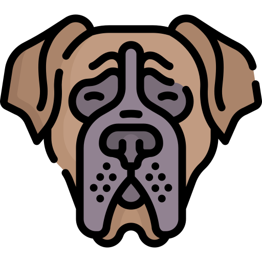 Mastiff Special Lineal color icon