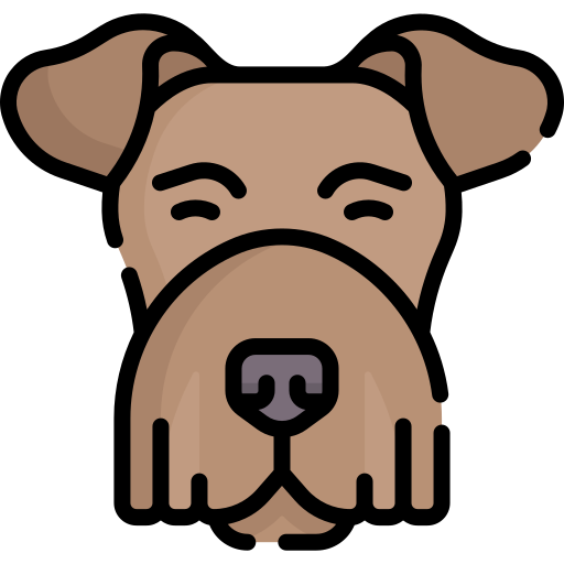 airedale-terrier Special Lineal color icon
