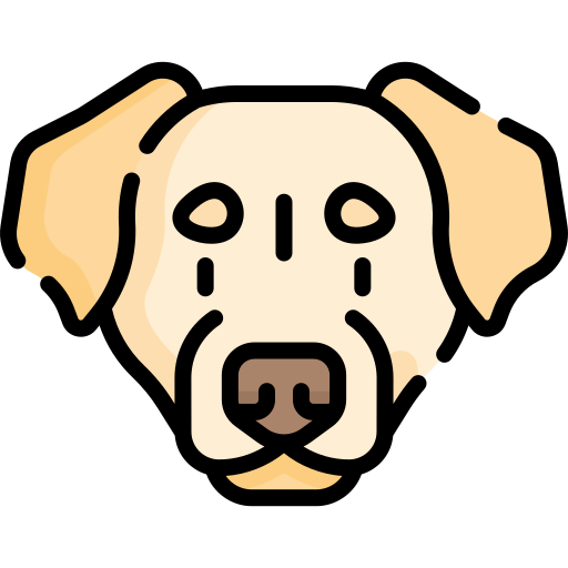 Labrador retriever Special Lineal color icon