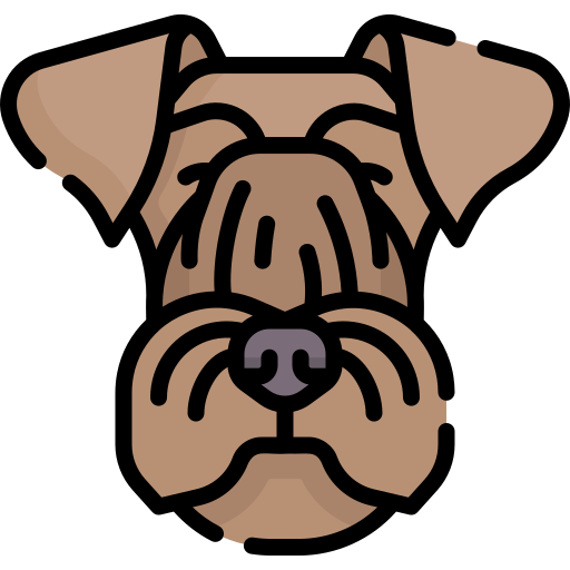 Bohemian terrier Special Lineal color icon