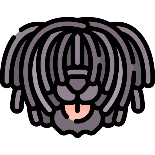 puli Special Lineal color icon