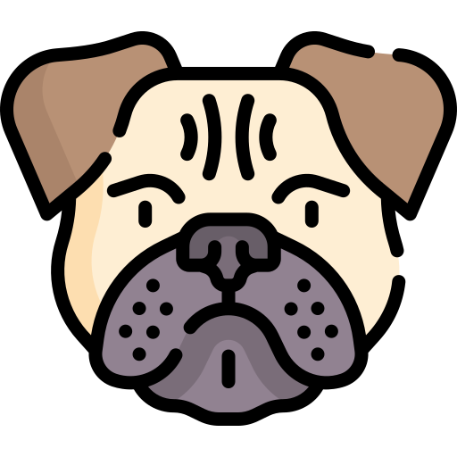 mops Special Lineal color icon