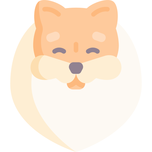 Pomeranian Special Flat icon