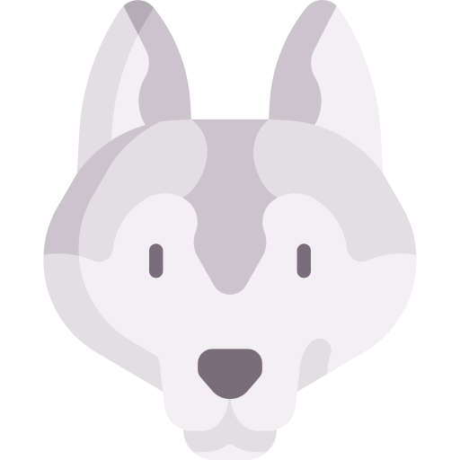 siberische husky Special Flat icoon