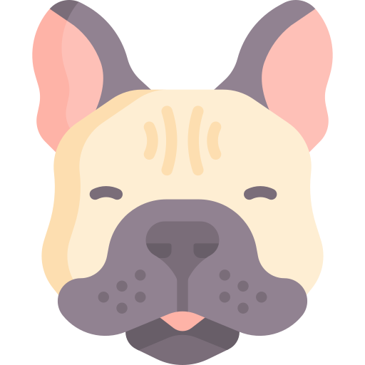 bulldog francese Special Flat icona