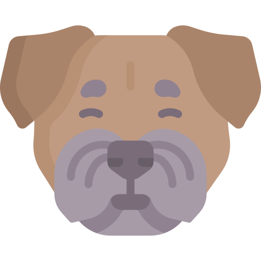 terrier di confine Special Flat icona