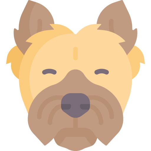 Cairn terrier Special Flat icon