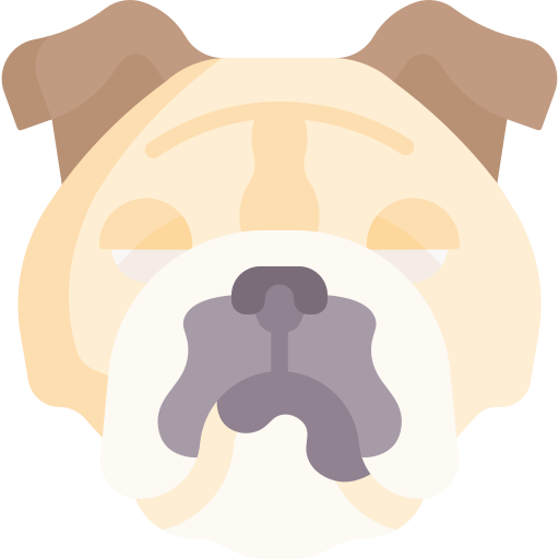 bulldogge Special Flat icon
