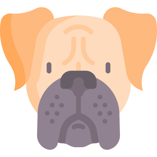 Boxer Special Flat icon