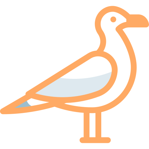Gull Detailed color Lineal color icon