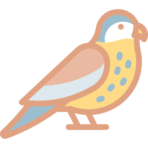 Kestrel Detailed color Lineal color icon