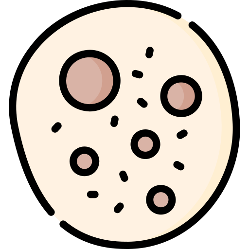 naan Special Lineal color icon