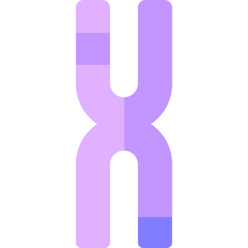 cromosoma Basic Rounded Flat icono