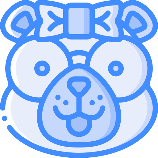 bär Basic Miscellany Blue icon