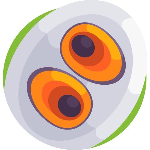 피단 Detailed Flat Circular Flat icon