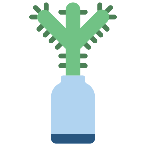 Cactus Basic Miscellany Flat icon