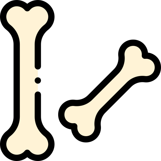 뼈 Detailed Rounded Lineal color icon
