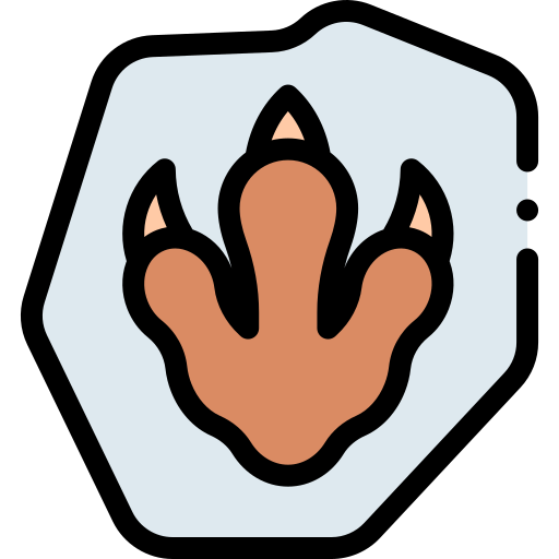 Footprint Detailed Rounded Lineal color icon