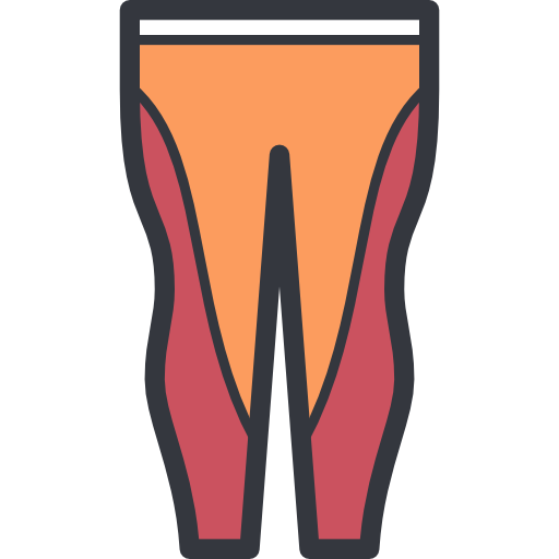 pantalones Stockio Lineal Color icono