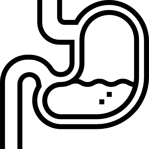 estómago Aphiradee (monkik) Lineal icono