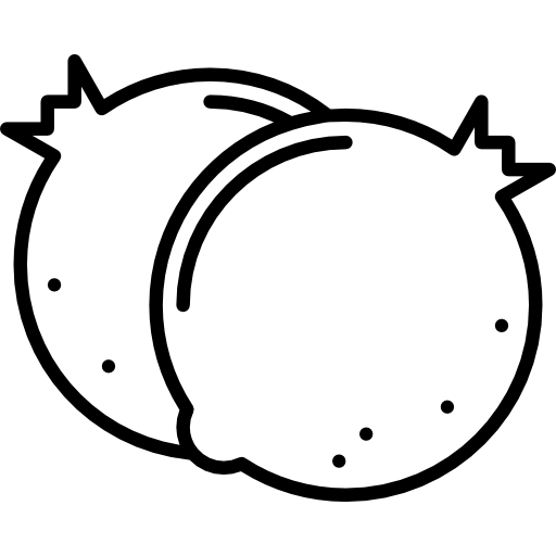 석류 Vitaliy Gorbachev Lineal icon