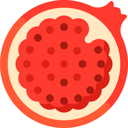 Pomegranate Special Flat icon