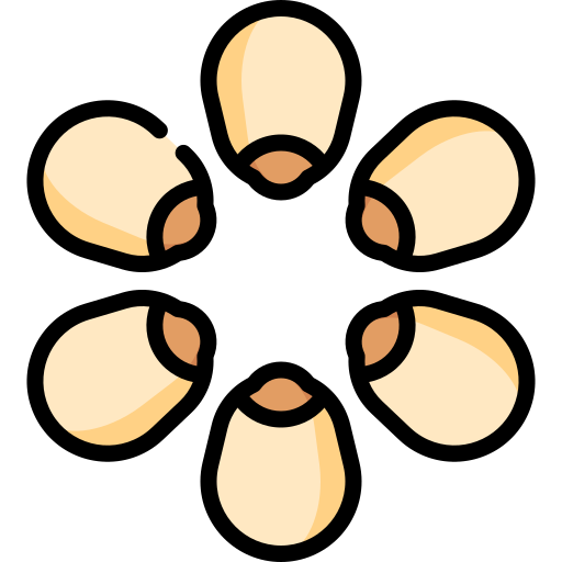 loto Special Lineal color icono